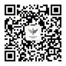 J9集团国际 Vision Plus Capital